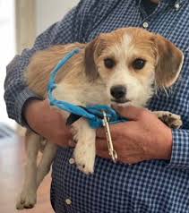 Aurora got to meet Zoe's friend Jack