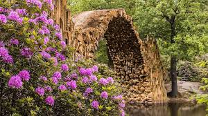 Waarom Groeien Mijn Rododendrons Niet Tuin En Balkon In 2020 Planten Tuin Tuinonderhoud