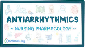 Image result for Antiarrhythmic