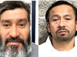 Dorothy Lewis Shepard