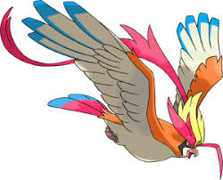 Pokemon 10018 Shiny Mega Pidgeot Pokedex Evolution Moves