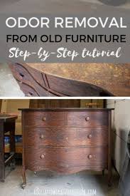 4 Steps To Get Rid Of That Musty Smell Roots Wings Furniture Llc Painted Wood Chairs Furniture Painting Techniques Cleaning Wood