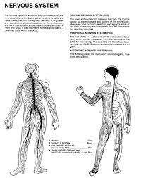 Free application greys anatomy games for children. Free Human Anatomy Coloring Book For Kids Yoga Sheets What Is The Best Stephenbenedictdyson