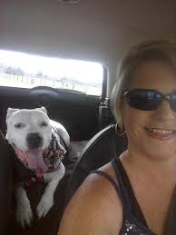 Trail ride with mini horses today