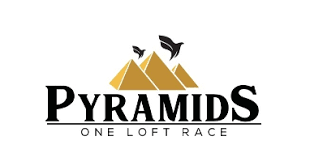 اللوجو الجديد السبب اكيد، معلش اللي جاي احسن ان شاء الله. Benzing One Loft Race