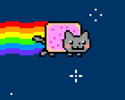 Nyan Cat meme