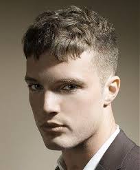 Guy Kremer Short Brown Straight Hair Styles 21510 Haircuts For Men Men S Short Hair Mens Hairstyles Short