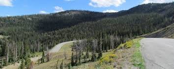 We did not find results for: Sawtooth Scenic Byway Id Sr 75 Idaho Womo Abenteuer