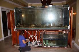 Our pick of the top 20 gallon acrylic fish tanks on the market today. 2013 Giant Aquariums Page 6