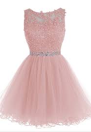 Blush Pink Short Prom Dress Lace Beaded Prom Dress Tulle Applique Evening Dress Party Dress Dance Pink Homecoming Dress Beauty Graduation Dress Pink Homecoming Dress Hoco Dresses Prom Dresses Lace