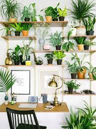 Even if you're not an experienced plant parent, some will thrive in ordinary indoor conditions with minimal care. Small Space House Plant Display Ideas Cozy Little House