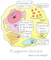 Maybe you would like to learn more about one of these? Quotes About Cell Organelles 27 Quotes