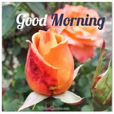 The perfectly smooth surface of the water reflects a large metropolis. 200 Good Morning Messages With Amazing Images