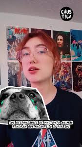 ¡Justicia para ‘Zeus’! Un perrito que fue as3s!nado v!lm3nt3 por dos  hombres en la Comuna 7 de Medellín. Se ha condenado a Gilberto Hernán  Londoño Arango, culpable del hecho, con la condena más alta ...