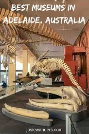 Best Adelaide Museums Australia Vacation Australia Travel Guide Adelaide Museum