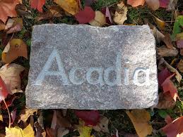 We provide assistance during each stage of your construction project, ensuring compliance with the local building codes and regulations. Acadia Landscape Design