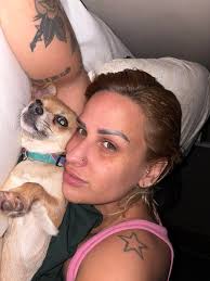 Reward for safe return of missing Chihuahua