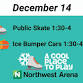Public Skate and Ice Bumper Car-Sunday event in Jamestown, NY