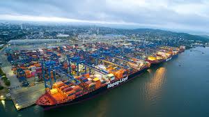 Portchain appoints Craig Halford as Vice President of Sales