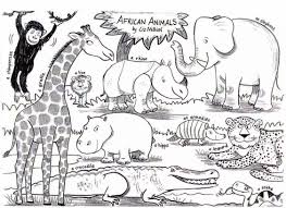 Pin By Orange Tango On Africa Animal Coloring Pages Animal Coloring Books African Animals