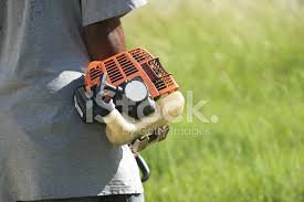 We did not find results for: Gardener Mowing Lawn In The Caribbean Stock Photos Freeimages Com