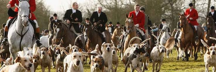 Where does the British public stand on hunting?