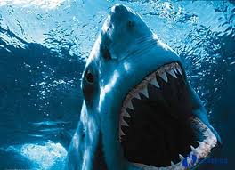 Анонсы художественных фильмов на канале 2+2 » Все о ТВ и ...