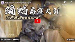 棲地補償與濕地保育：電廠建設如何達成生態共融？-電業文物典藏