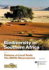 Image result for Baissea wulfhorstii