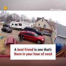 It is not by chance that a dog is a man's best friend