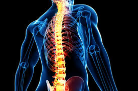 Backbone Spine Surgery Spinal Stenosis Spinal