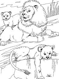 Animal coloring, big cats, cartoon lion, cats, jungle animals, kwanzaa, kwanzaa printables, lion coloring, lion cub, lion king coloring page, lioness, lions, printables, wild. Online Coloring Pages Coloring Page Lion With Cubs The Lion King Download Print Coloring Page