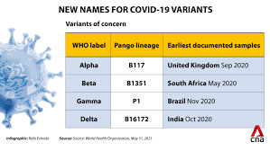 Ray says it is the nature of rna viruses such as the coronavirus to evolve and change gradually. In Focus The Rapid Rise Of The Delta Variant And How It Is Shaping Singapore S Covid 19 Fight Cna