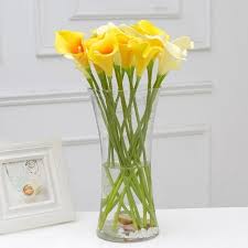 Pupuk tanaman perangsang buah dan bunga dari bahan buah maja. Glassware Vase For Flower Aquarium Pasu Kaca Untuk Bunga Ikan Shopee Malaysia