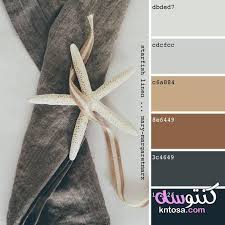 بالصور درجات الالوان اللي تليق على بعض كيفية تنسيق الالوان مع بعضها Kntosa Com 31 19 Color Palette Interior Design Tan Color Palette Pantone Colour Palettes