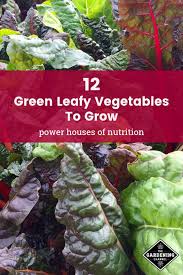 Leafy green vegetables are great blood builders, and when you build healthy blood you build a healthy body. List Of Green Leafy Vegetables From A To Z Gardening Channel