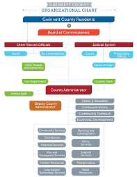 organization chart gwinnett county