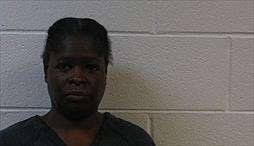 POLK SO MEDIA ARREST SUMMARY