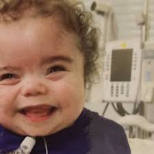 Fundraiser by Katrina Noyes : Help bring Jasper home!