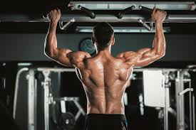 Pour les articles homonymes, voir doubs. Comment Developper Ses Muscles Dorsaux Blog Eric Favre Sport Nutrition Expert
