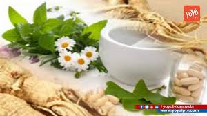 Korean ginseng promotes mood, cognitive function, and boosts the immune system. Ayurvedic Benefits Of Ashwagandha Yoyo Tv Kannada Youtube