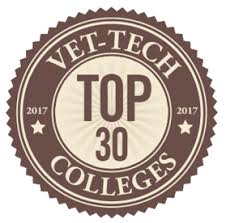 Vet Tech Veterinary Assistant Animal Technician Vet Tech Certification