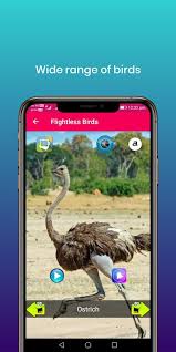 Android Icin 100 Kus Sesleri Apk Yi Indir