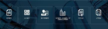 Prime Pillar Cpa Business Service Provider Certified True Copy Issued By A Hong Kong Certified Publ Certified Public Accountant Registered Agent Website Making