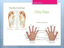 Vita Flex Hand Foot Charts Crafts Young Living