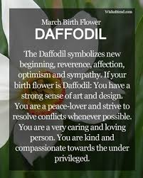Birth Flower For Each Month Meanings March Birth Flower Daffodil No Wonder It S My Favorite Flower March Birth Flowers Birth Flowers Birth Month Flowers