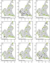 Image result for Annickia