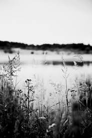 Black And White Nature Quotes Pin By Toni Pullen Art On Zzzzzzzz Today Black And White Landscape Nature Quotes About Photography
