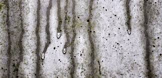 Ständige feuchtigkeit führt zu schäden am mauerwerk. Feuchtigkeit Im Haus Als Unsichtbare Gefahr