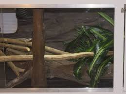 Attach the background to the enclosure by. How To Make Background Fake Rock Walls For Reptiles